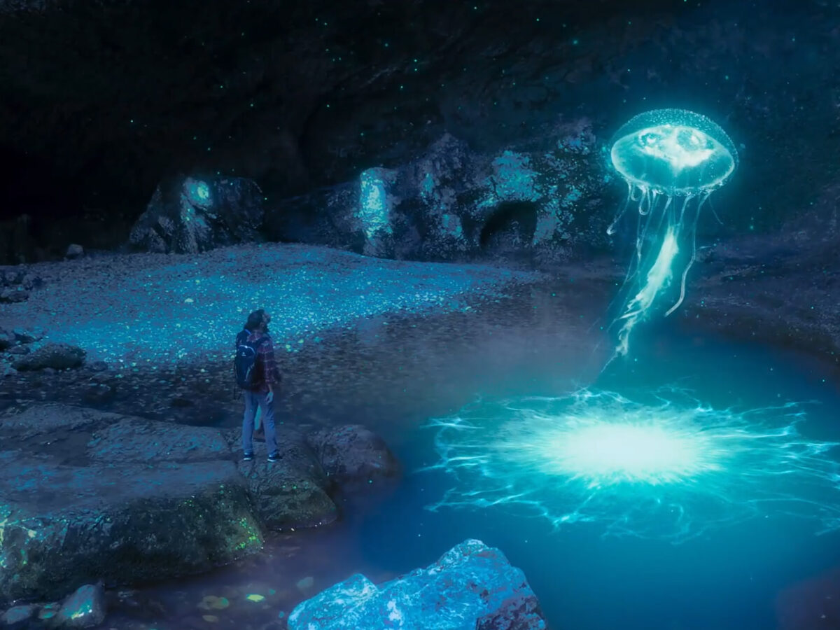 School of Animation & Visual Effects - Academy of Art University