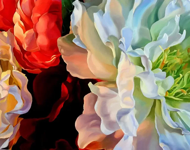 Three large, colorful peony flowers against a black background.