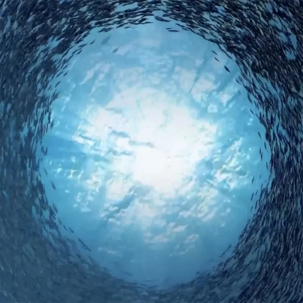 Dynamics: Fluids