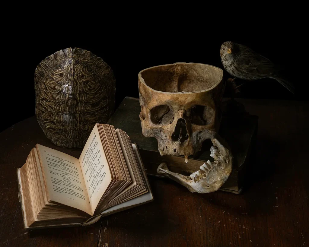 The Art of Teaching Photography