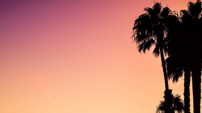 Silhouetted palm trees stand against a vibrant gradient sunset sky transitioning from purple to orange, creating a serene and tropical atmosphere.